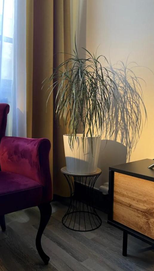 Appartement Chic & Elegance Centre Lyon